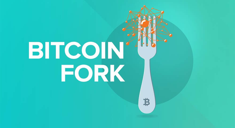 Bitcoin vs Bitcoin Cash